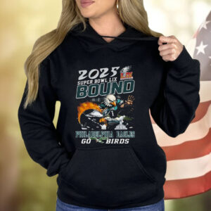 2025 Super Bowl Lix Bound Philadelphia Eagles Go Birds Shirt