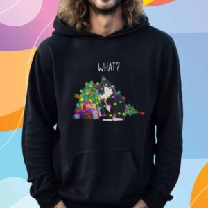 Cat Christmas What T-Shirt