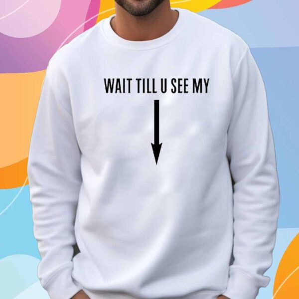 Drake Wearing Wait Till U See My T-Shirt