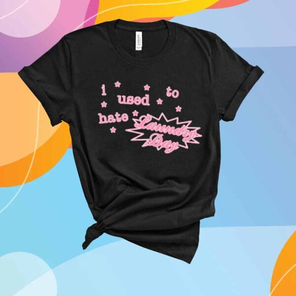 I Used To Hate Laundry Day T-Shirt