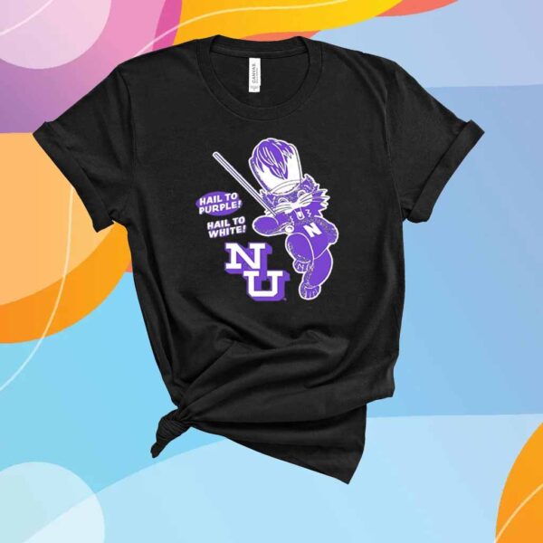 Northwestern Wildcats baseball hail to purple hail to white T-Shirt