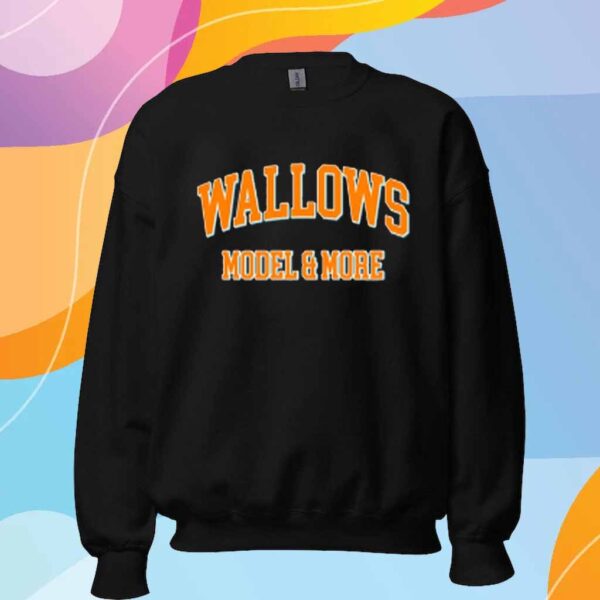 Wallows Model & More T-Shirt